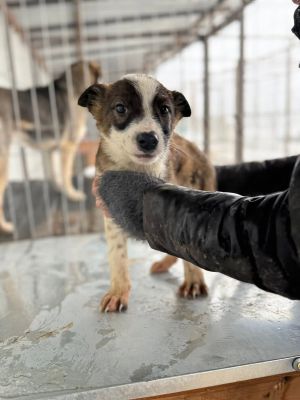 605299226 32904938032483560 766645339702928754 n