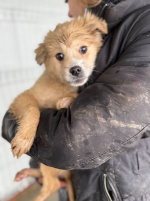 605324632 32905039552473408 6144455575642234146 n