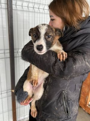 605331773 32904938445816852 7736578878776114142 n