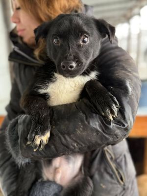 605343435 32905203095790387 773250613864323495 n