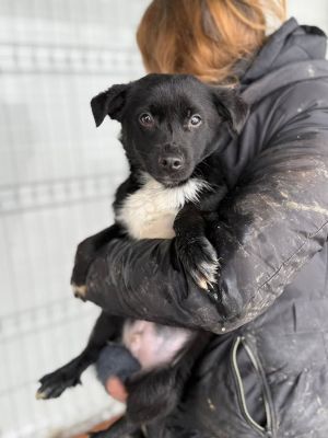 605344647 32905202702457093 5292373795927249649 n