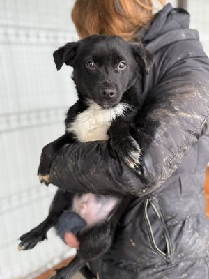 605357129 32905202729123757 8097853907726800497 n