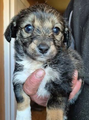 605384176 25556261127347806 1157166274910114067 n