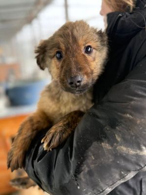 605395347 32905268712450492 7935931441037447738 n