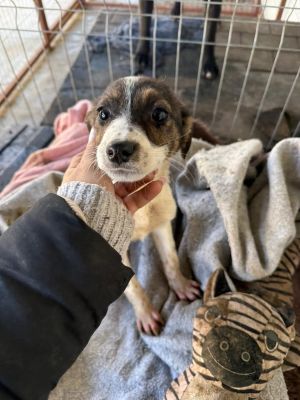 605421738 32941890912121605 2855043935280436048 n