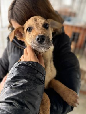 605433436 32905384949105535 6328277222064012088 n