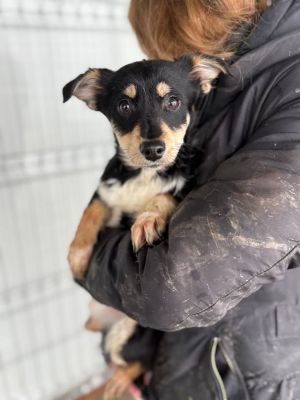 605435412 32905130109131019 842082051193093913 n