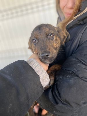 605442846 32942126365431393 5065294340546825683 n