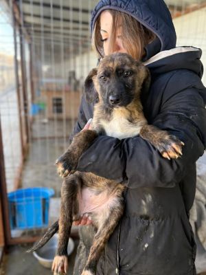 605443511 32942056918771671 3382935674861856013 n