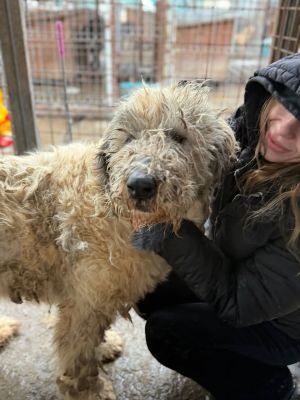 605444452 32905546955756001 3133244688838238527 n