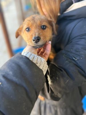 605447495 32942189772091719 5646745048872387077 n