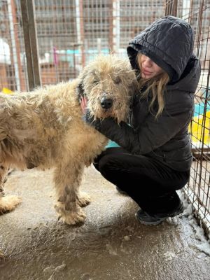 605448927 32905546135756083 5858716858021481563 n