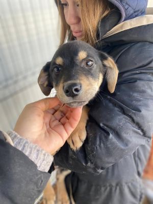 605466627 32943065982004098 7882104208611196251 n