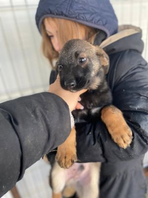 605471052 32942421798735183 6969402621093387339 n