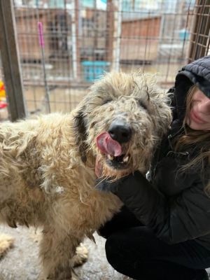 605487660 32905546115756085 1864177883101823423 n