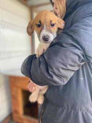 605495306 32942814415362588 2481538976960523106 n