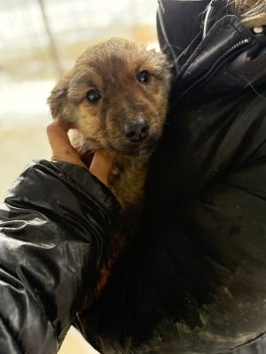 605500752 32905268685783828 4975864436014217813 n