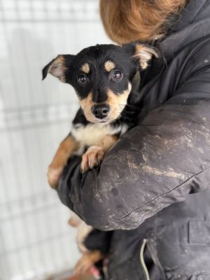 605502472 32905130489130981 4427533492236815742 n