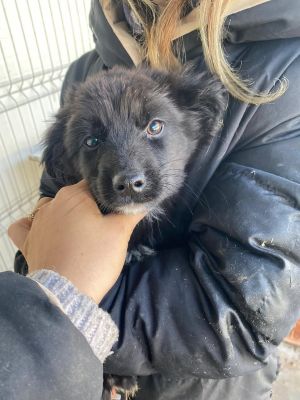 605512561 32942707025373327 6973834610855565647 n