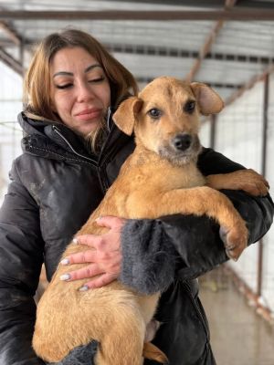 605521826 32905384475772249 7920652508117670900 n