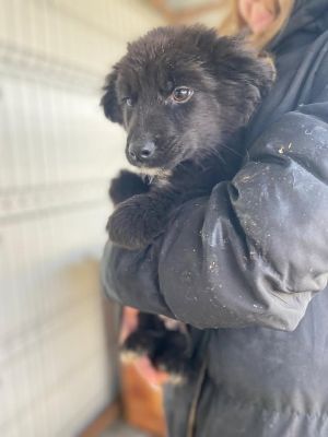 605526594 32942707198706643 1129576929495731498 n