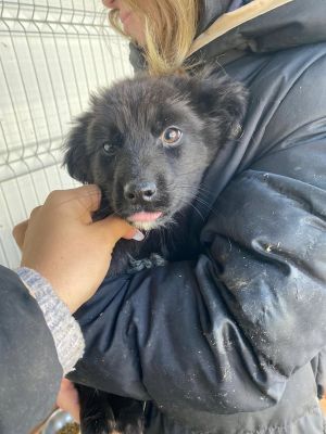 605527169 32942706348706728 2270232551373686854 n