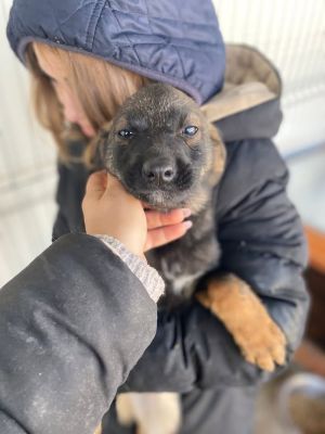 605529598 32942421765401853 6610960972416254314 n