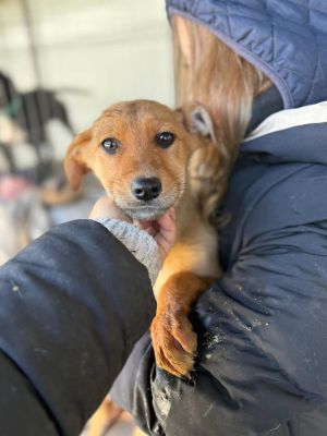 605536369 32942253338752029 251023615730626780 n