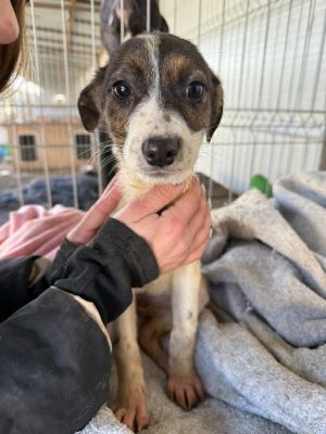 605538823 32941890515454978 5487974886224161066 n