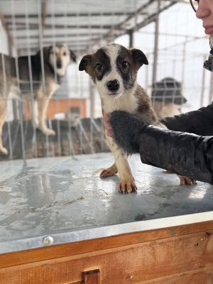 605538944 32904938005816896 3077440197539207394 n