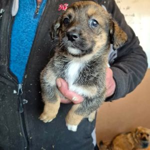 605542800 25556190450688207 1580288586398739616 n