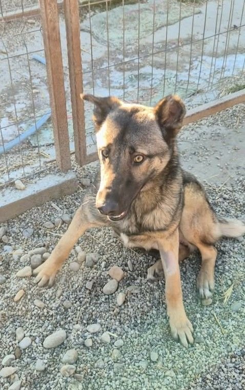 605718388 25576323415341577 894552362712774912 n