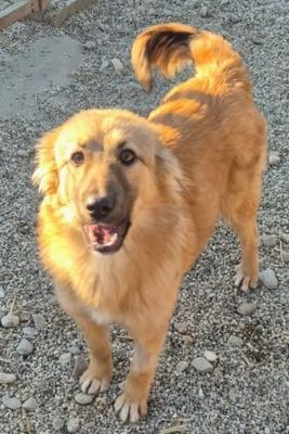 605733410 25576316065342312 7210524822703967063 n