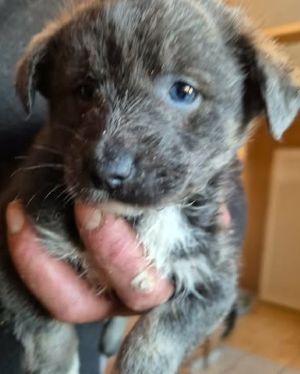 605765499 25556326804007905 2825108229270315895 n