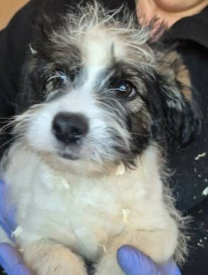 605784874 25556630963977489 755242113280006325 n