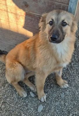 605790171 25576315935342325 8195008244461786667 n