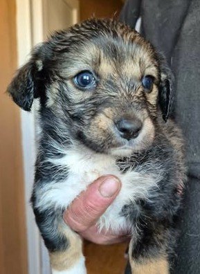 605854050 25556261320681120 2534245154522497633 n