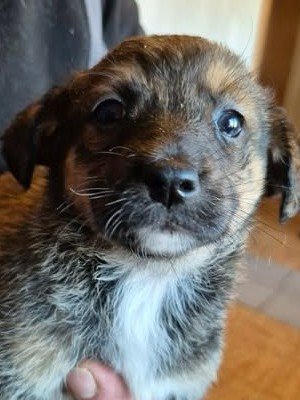 605873310 25556190867354832 2210594014049876061 n