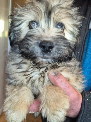 606006572 25556693713971214 7605013411505321002 n