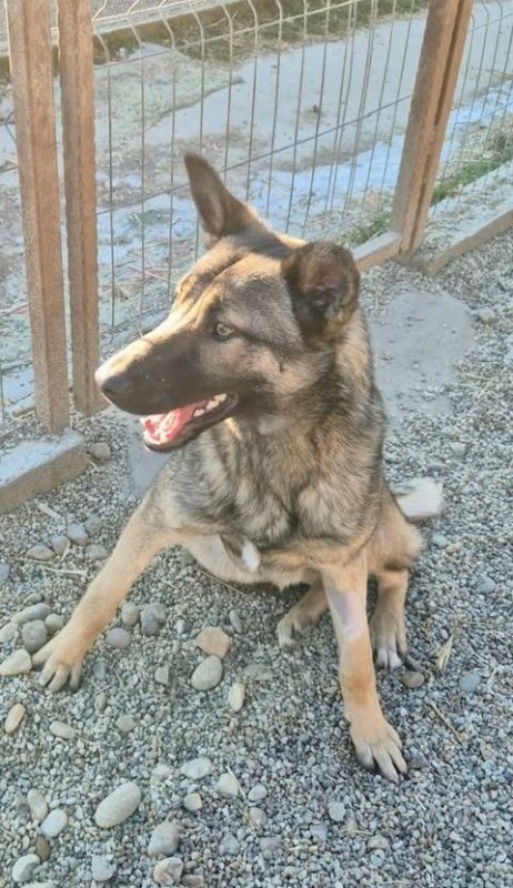 606109013 25576323398674912 891737694606783469 n