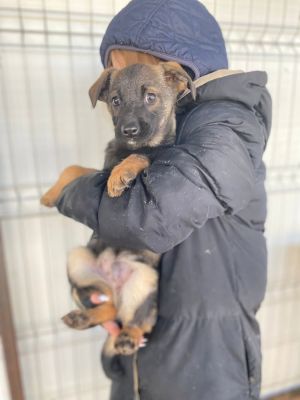 606819425 32942422158735147 7277185712069247578 n