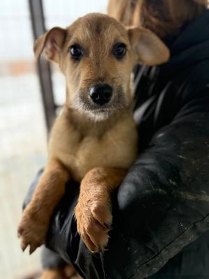 606822713 32905384502438913 8271473561522122742 n