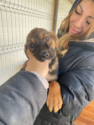 606829164 32942531108724252 8391796491641941044 n