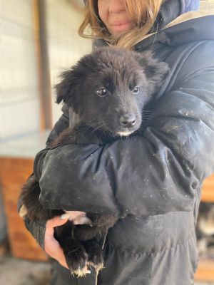 606834026 32942706955373334 2782140274083733970 n