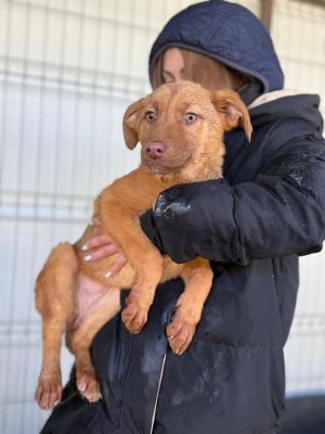 606837078 32942307315413298 7881511164075717103 n