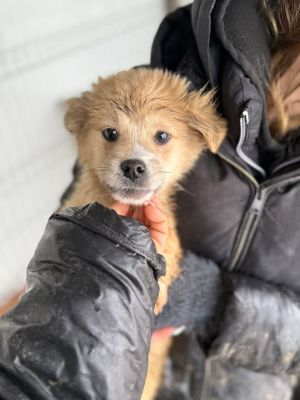 606843518 32905039869140043 7694413042952799948 n