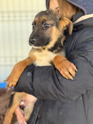 606848423 32942361152074581 6930589570572500801 n