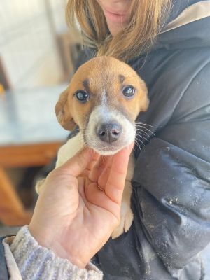 606888962 32942814682029228 765454259699219267 n