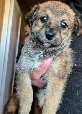 606895353 25556297490677503 8682995527590822331 n