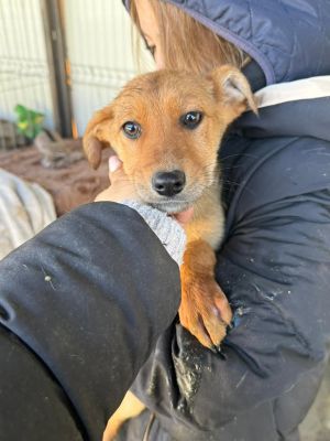 606941157 32942253858751977 8597954924036419283 n